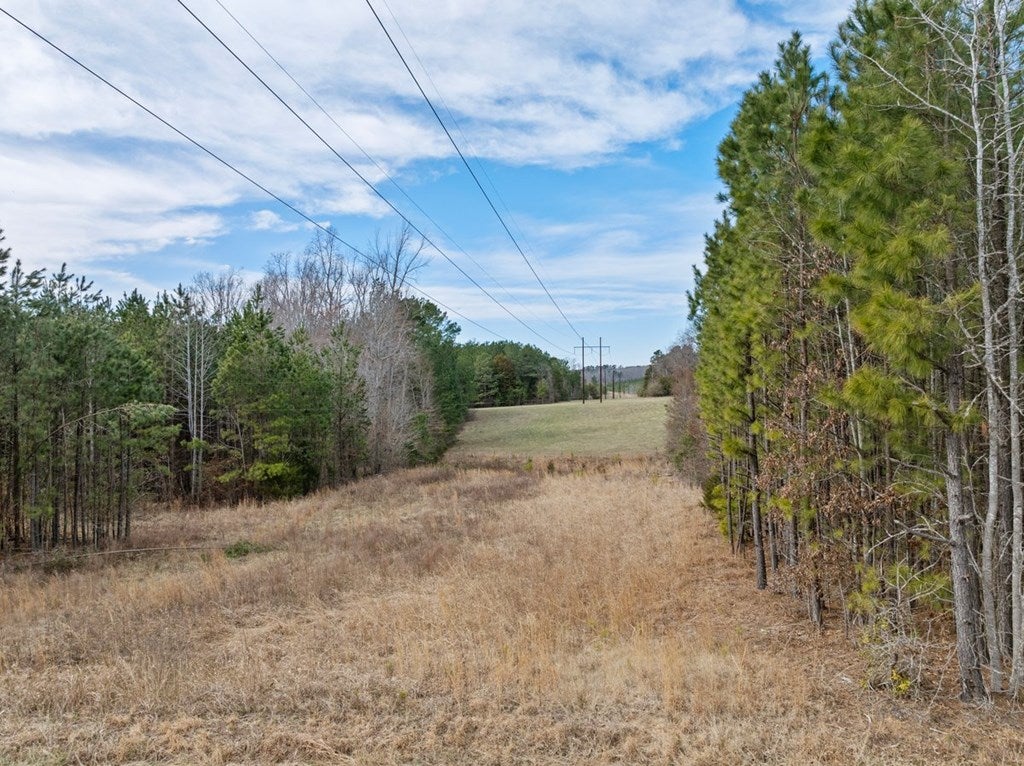 The Grove Road Blackstone, VA 23824 - Photo 16 of 17 Gallery Image 16