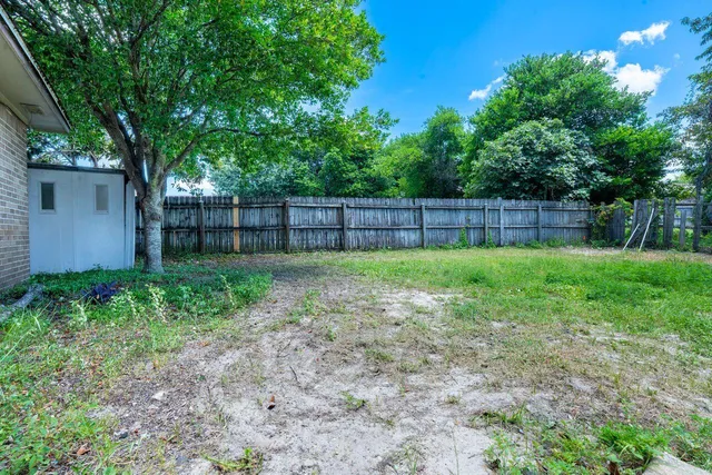 a view of a backyard with a potted plants and large tree