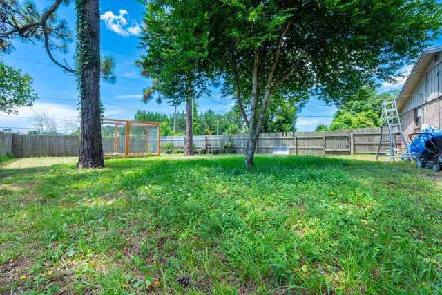a view of a park with plants and large trees
