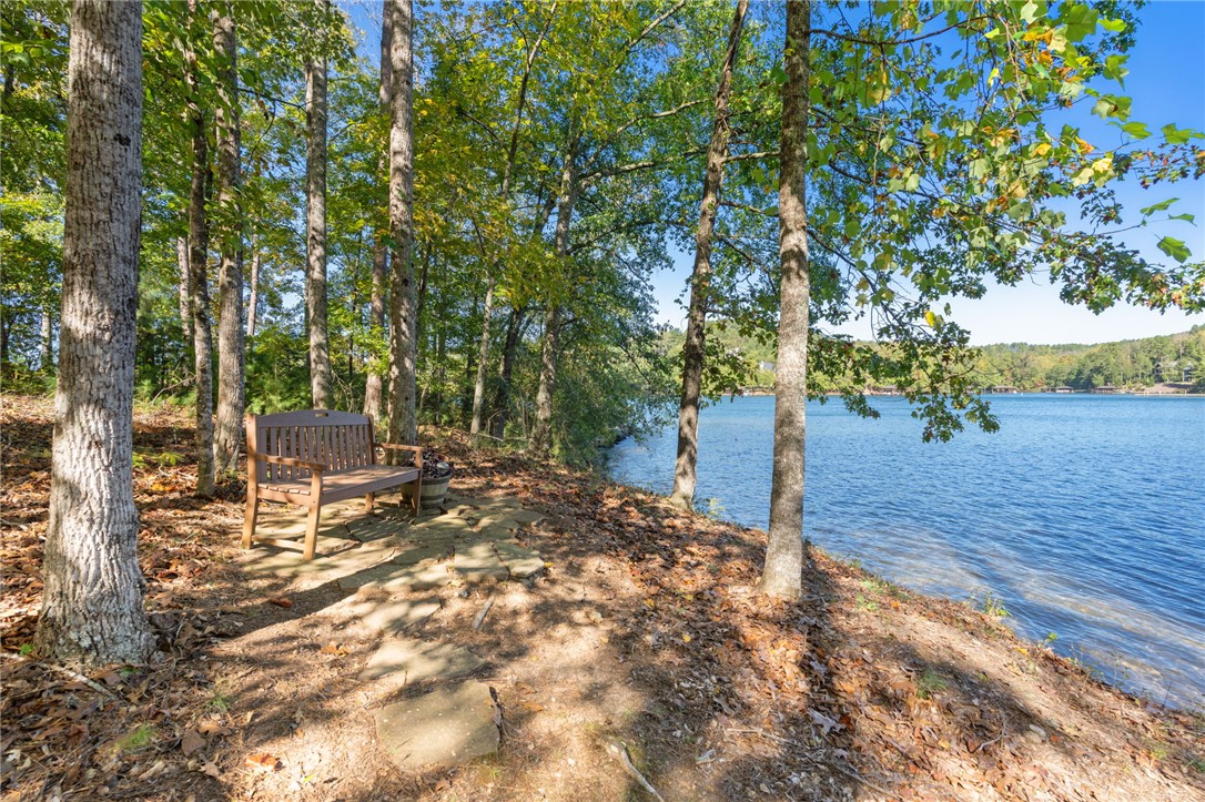 240 Featherstone Drive Sunset, SC 29685 - Photo 37 of 50