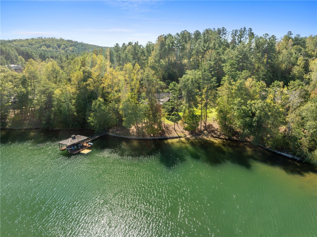 240 Featherstone Drive Sunset, SC 29685 - Photo 40 of 50