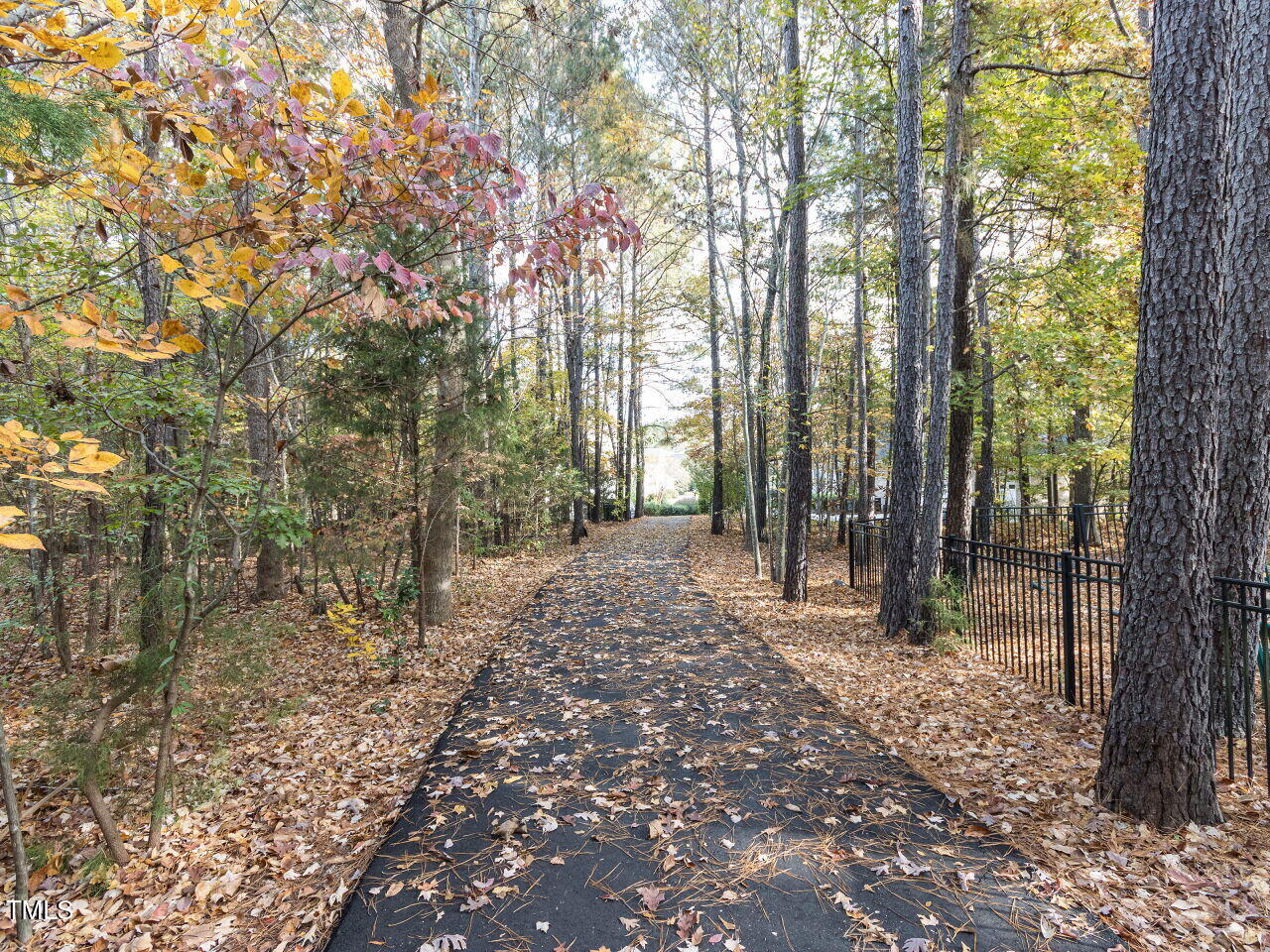 422 Colvard Woods Way Durham, NC 27713 - Photo 21 of 24 a backyard of a house with lots of green space