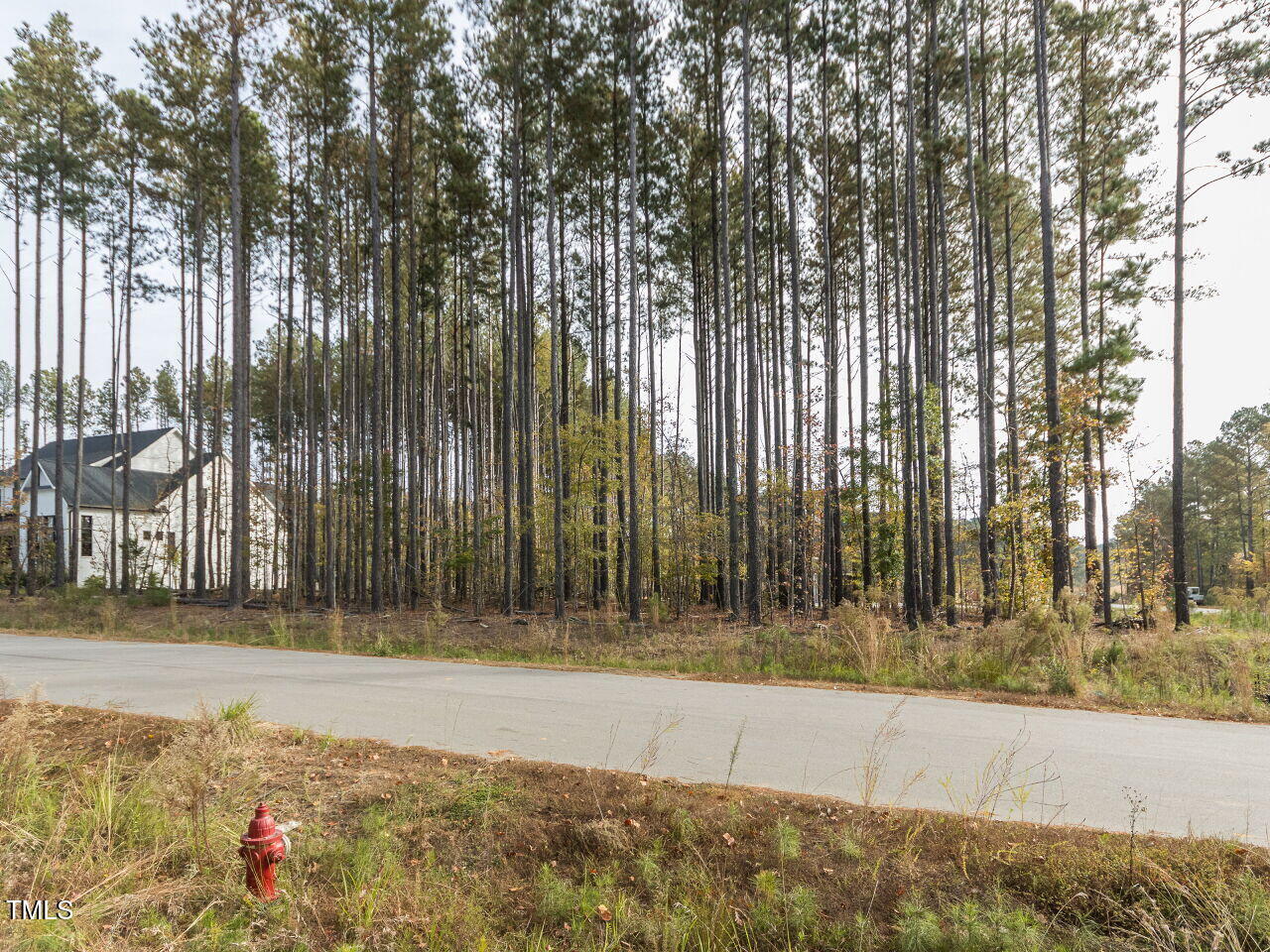 422 Colvard Woods Way Durham, NC 27713 - Photo 24 of 24 a view of backyard with tree