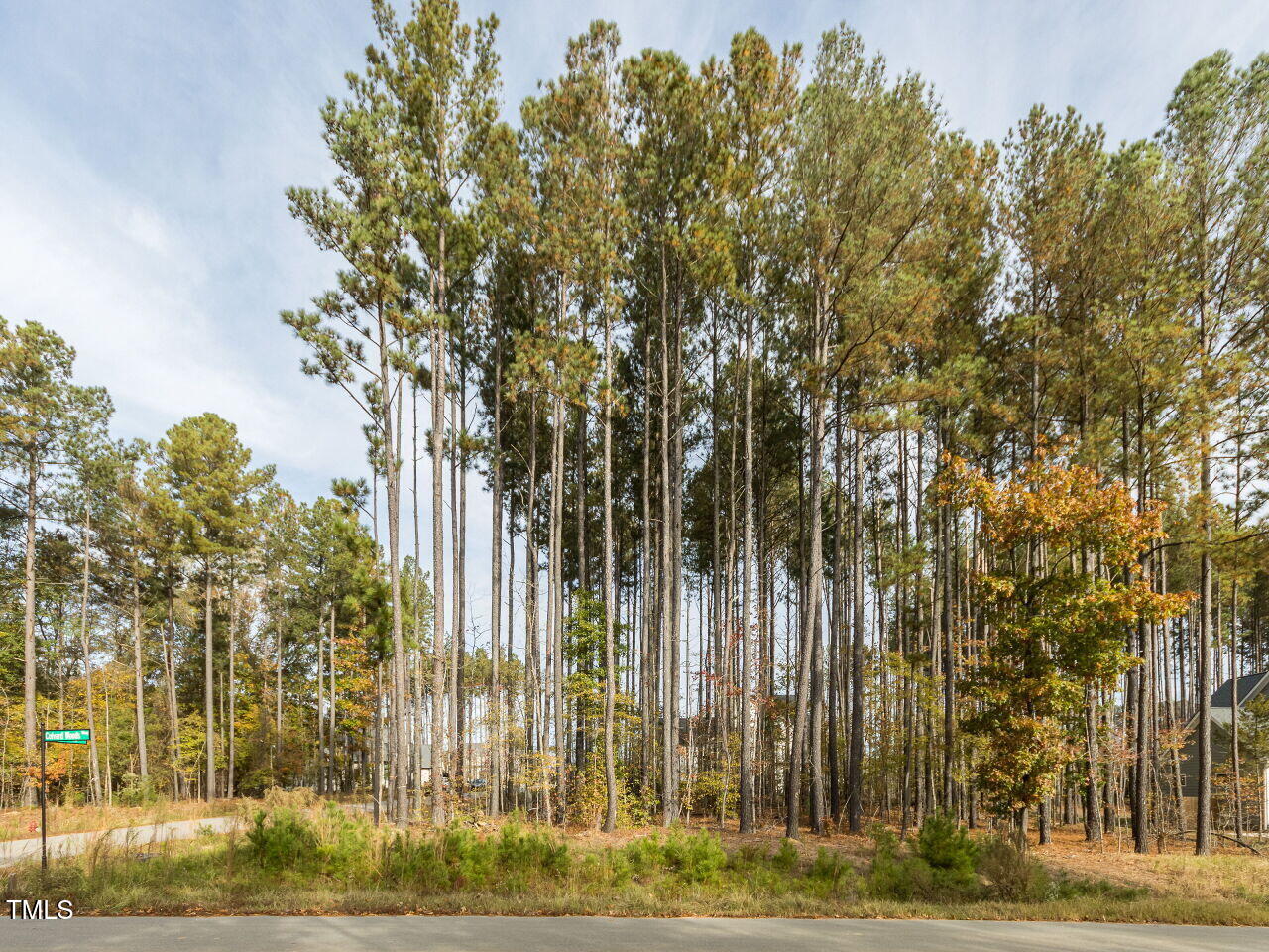 422 Colvard Woods Way Durham, NC 27713 - Photo 3 of 24 a view of a backyard of the house