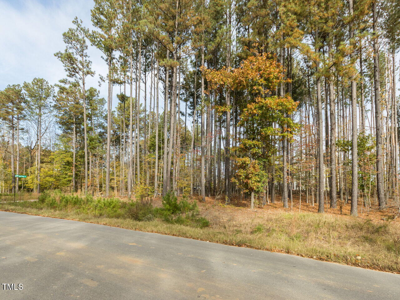 422 Colvard Woods Way Durham, NC 27713 - Photo 4 of 24