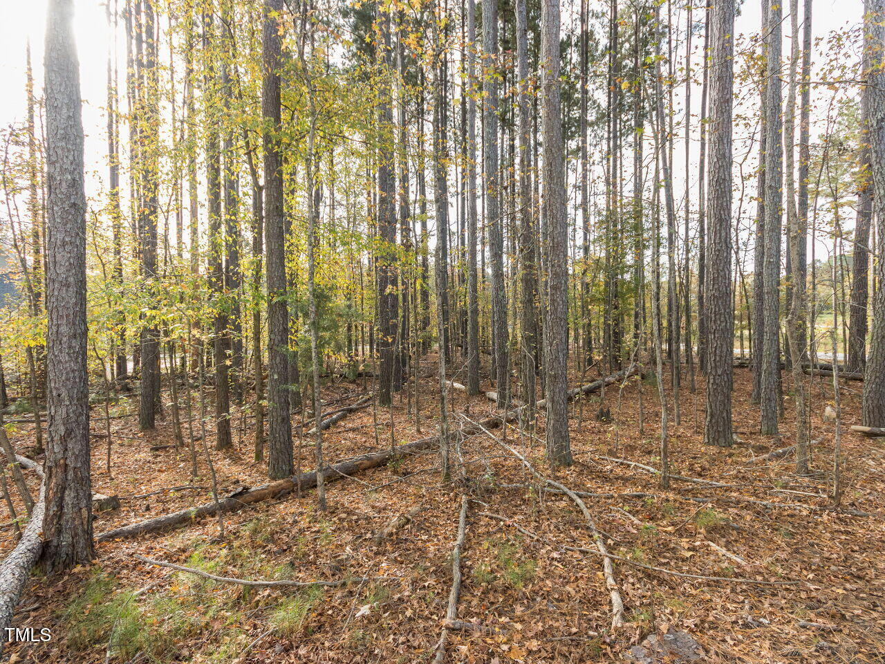 422 Colvard Woods Way Durham, NC 27713 - Photo 6 of 24 a view of bath room with shower