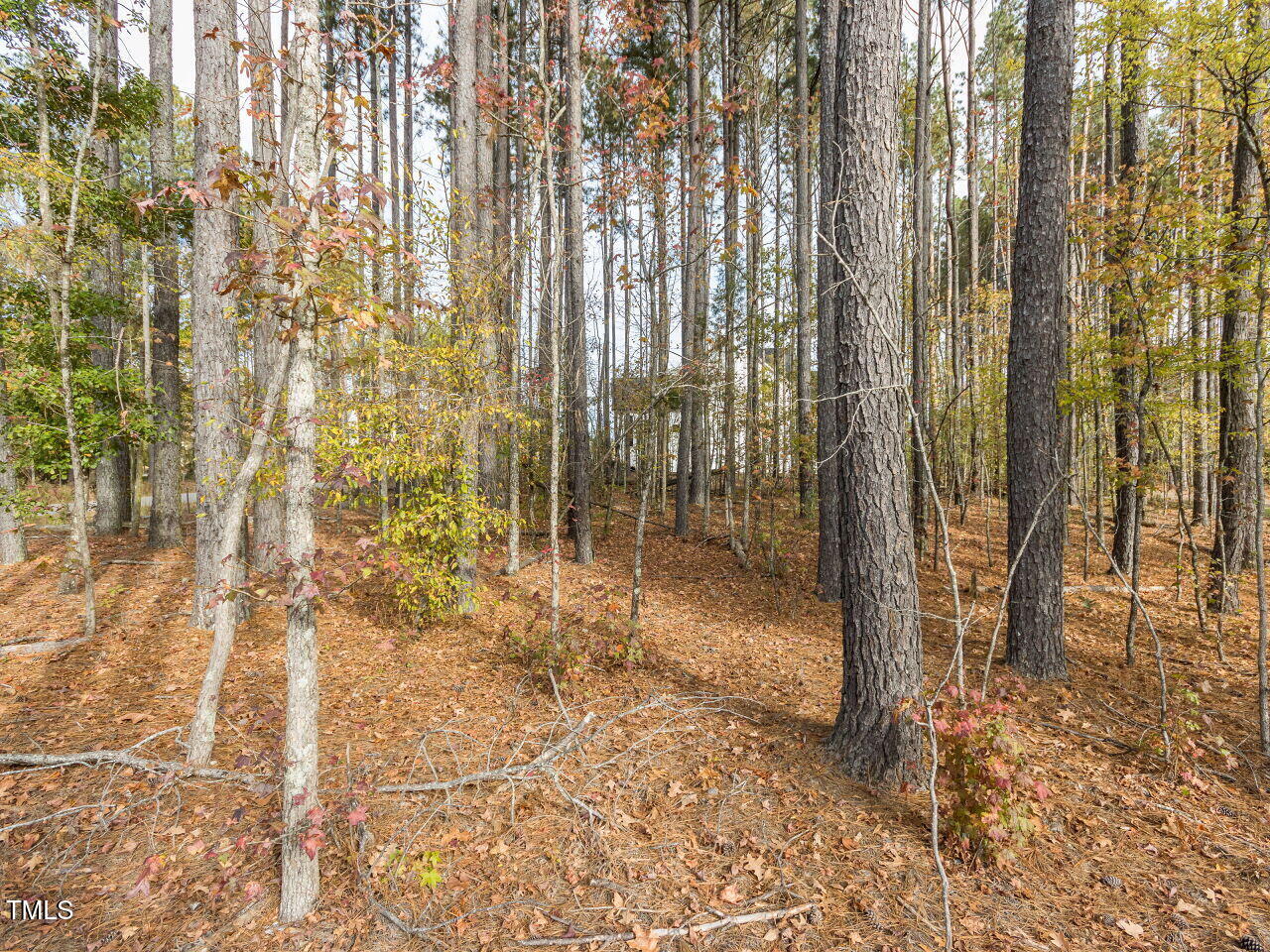 422 Colvard Woods Way Durham, NC 27713 - Photo 7 of 24 a view of a bathroom with shower and a bath tub