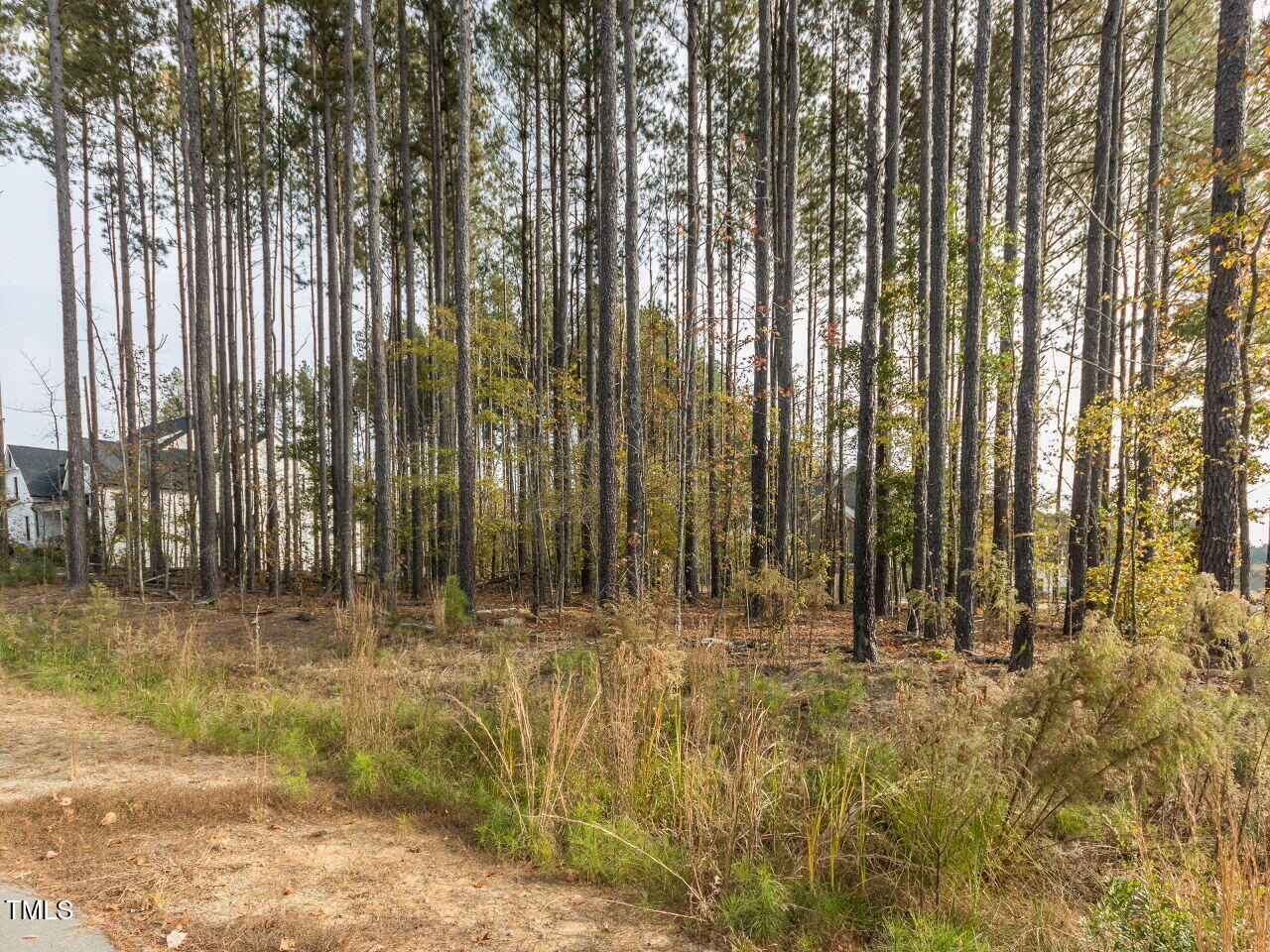 422 Colvard Woods Way Durham, NC 27713 - Photo 8 of 24 a view of backyard with green space