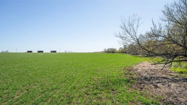 a view of a trees with a yard