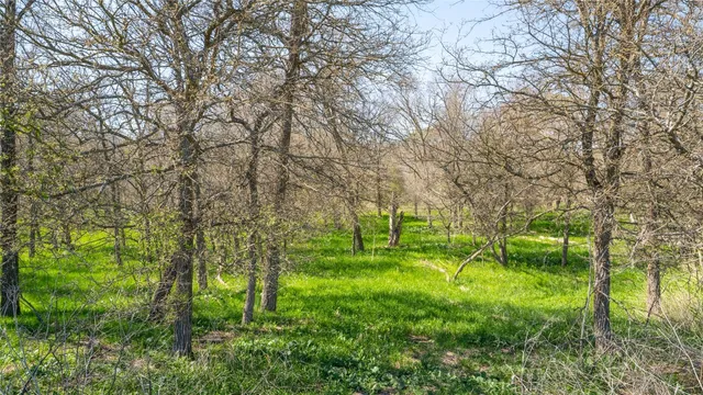 a view of yard with green space
