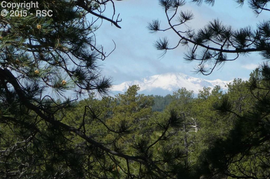 18145 Cumbres Road Peyton, CO 80831 - Photo 1 of 30 Gallery Image 1