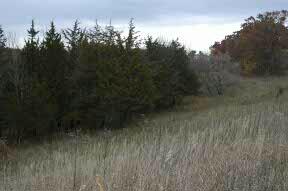 340 West Wachter Road Galena, IL 61036 - Photo 4 of 4 Gallery Image 4