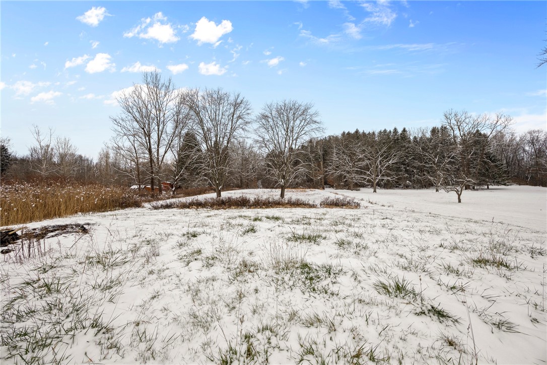 2466 Reed Road Waterloo, NY 13165 - Photo 37 of 47