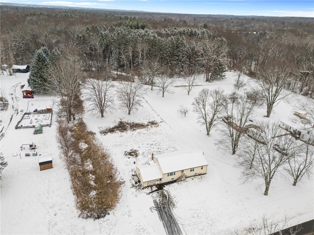 2466 Reed Road Waterloo, NY 13165 - Photo 43 of 47