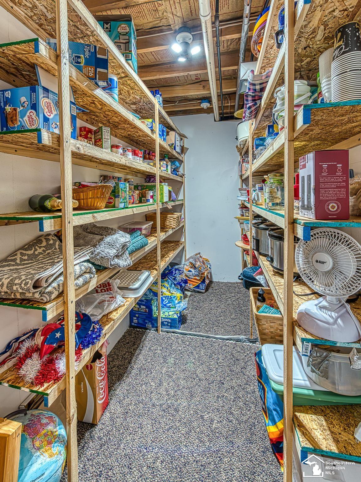 8910 Baldwin Road Monroe, MI 48162 - Photo 36 of 59