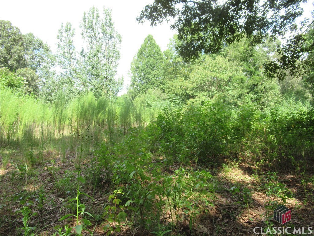 1665 Gum Springs Church Road Jefferson, GA 30549 - Photo 5 of 9 Gallery Image 5