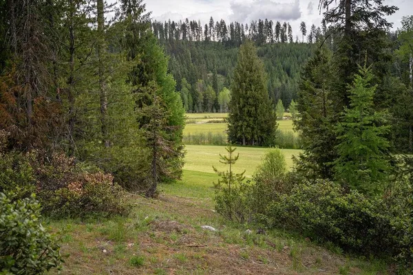 $157,000 | 207 Long Drive, Unit LOT #4, Priest Lake, ID 83856