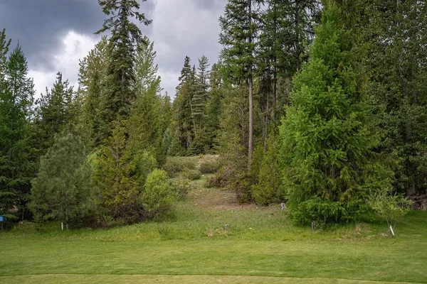 $157,000 | 207 Long Drive, Unit LOT #4, Priest Lake, ID 83856