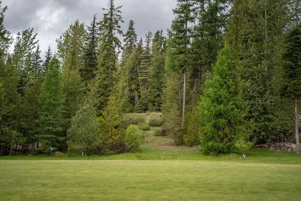 $157,000 | 207 Long Drive, Unit LOT #4, Priest Lake, ID 83856