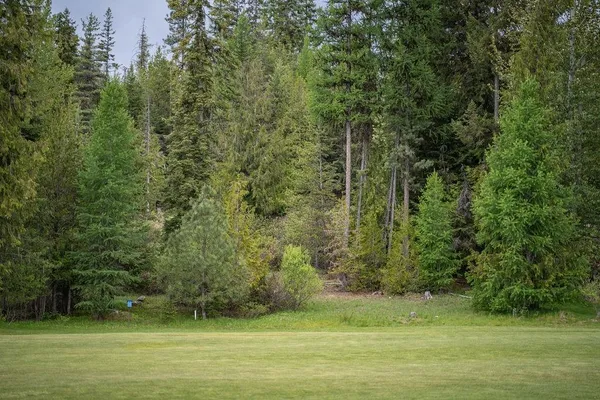$157,000 | 207 Long Drive, Unit LOT #4, Priest Lake, ID 83856