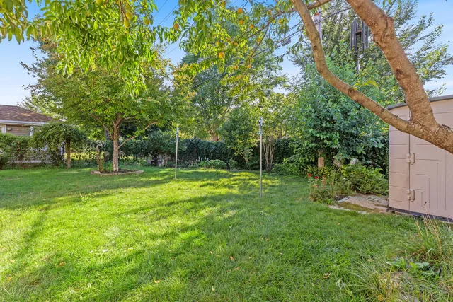 a view of a backyard with large trees