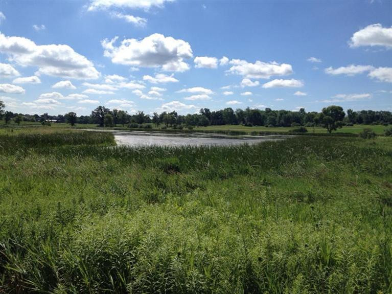 South View To Pond and Fields Beyond