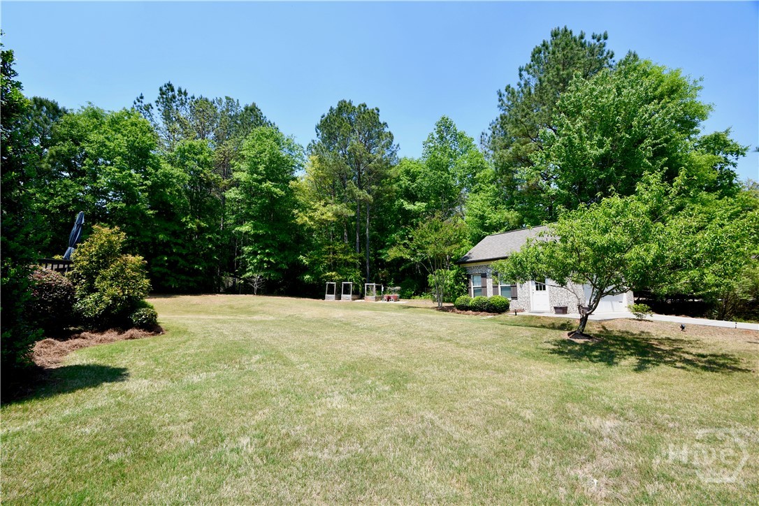 1080 Oak Ridge Court Bishop, GA 30621 - Photo 59 of 59