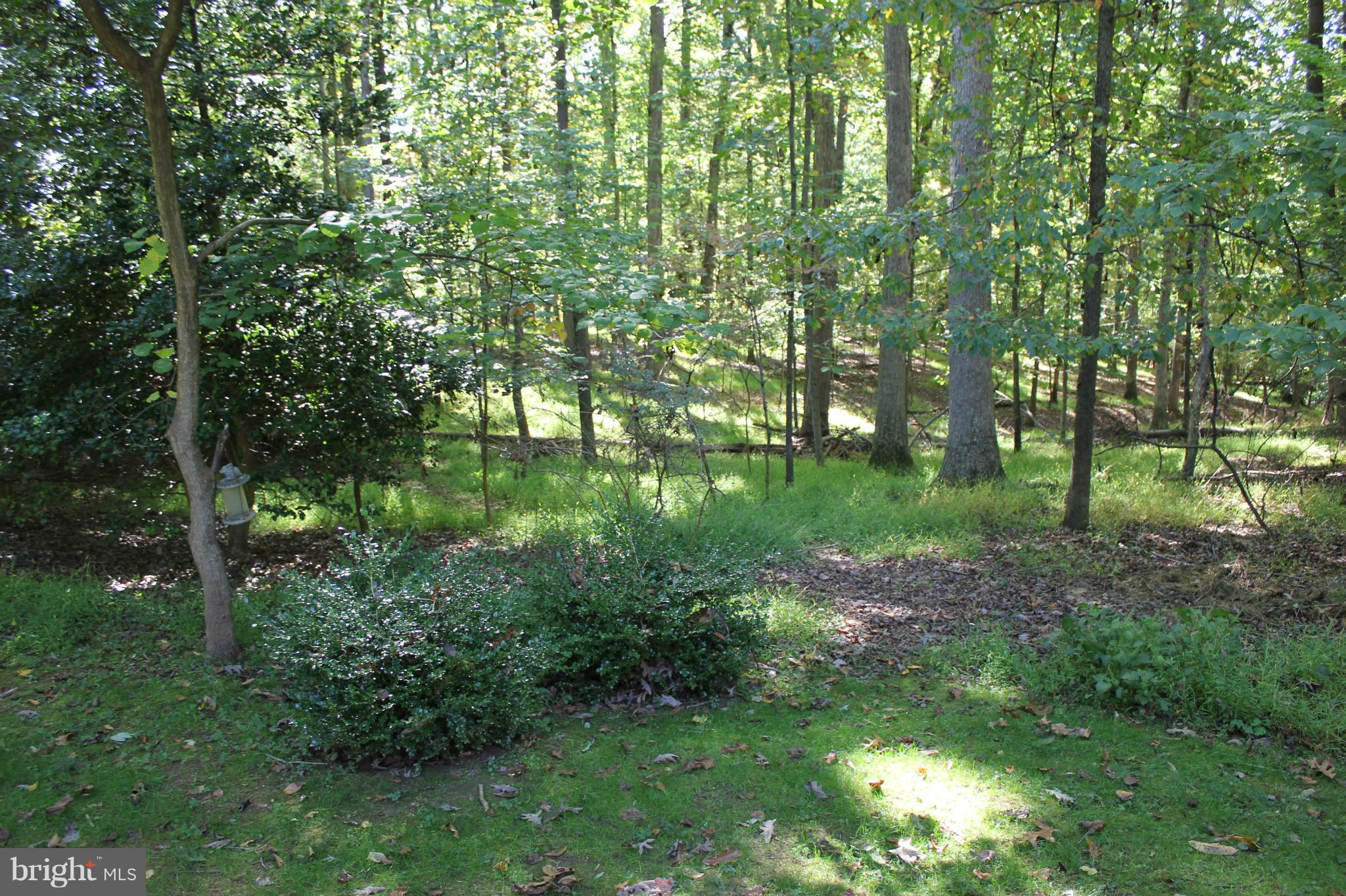 10212 Lloyd Road Potomac, MD 20854 - Photo 27 of 27 Exterior (General)