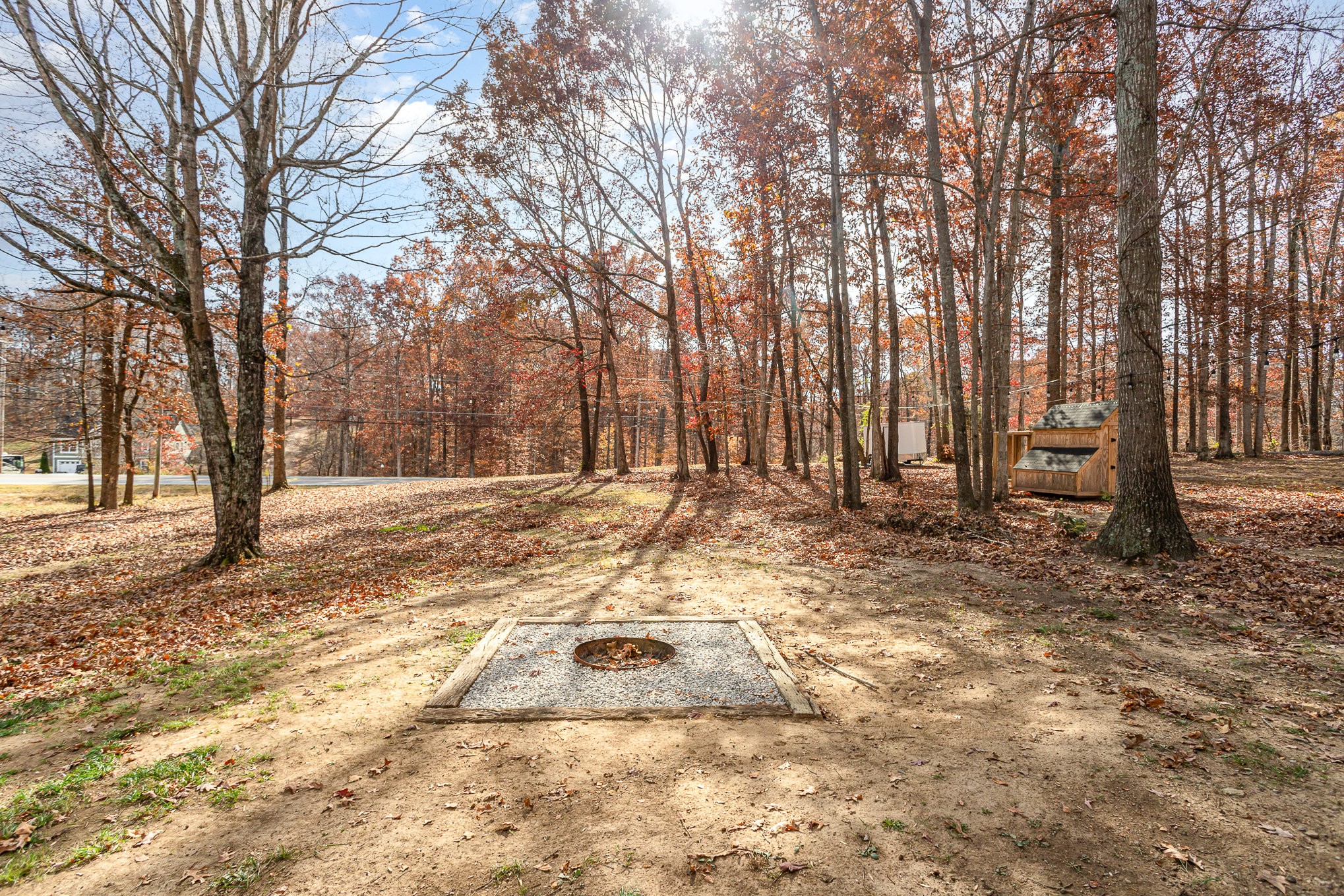 538 Old Highway 70 White Bluff, TN 37187 - Photo 27 of 29 a view of yard covered with trees