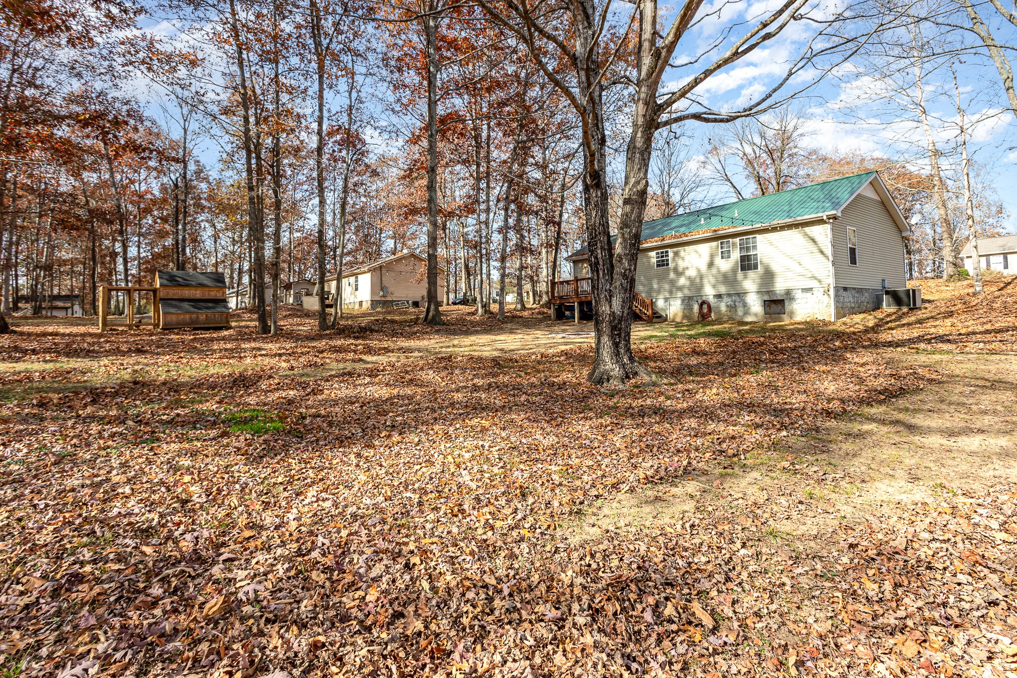 538 Old Highway 70 White Bluff, TN 37187 - Photo 29 of 29 a view of a yard with a tree