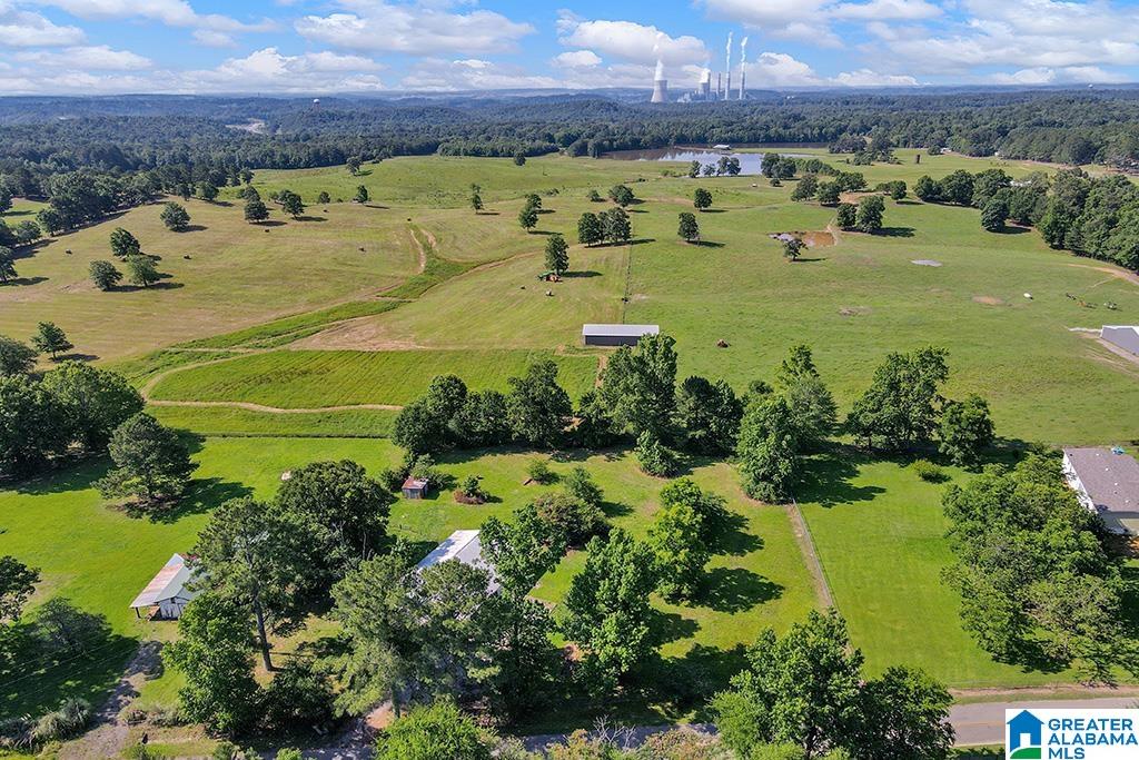 5965 Thornton Lake Road Dora, AL 35062 - Photo 29 of 29