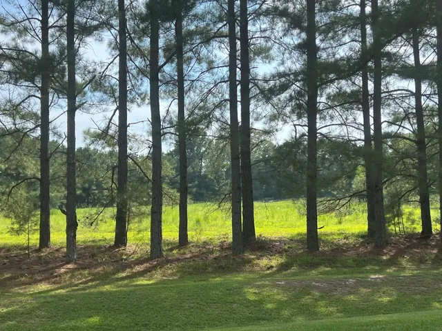 $100,000 | 3466 Matthews Mill Pond Road, Lillington, NC 27546