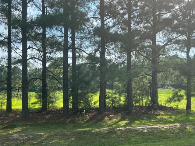 $100,000 | 3466 Matthews Mill Pond Road, Lillington, NC 27546