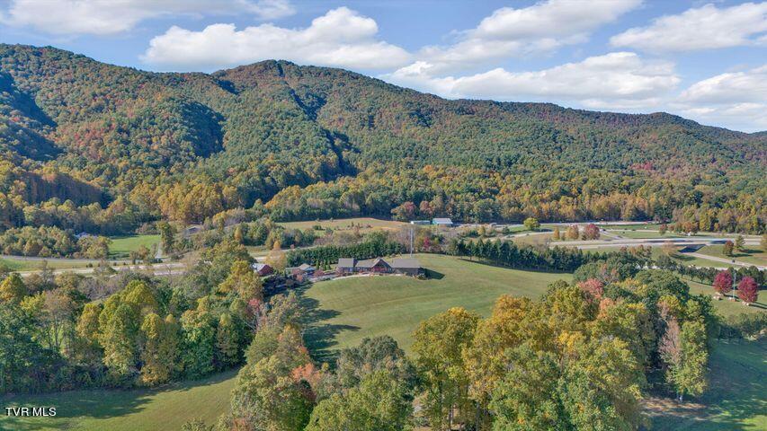 1350 Brown Mill Road Unicoi, TN 37692 - Photo 2 of 53 20231019161641263740000000-o