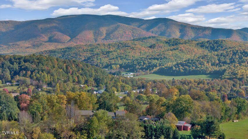1350 Brown Mill Road Unicoi, TN 37692 - Photo 4 of 53 BROWN MILL-5