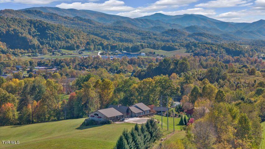 1350 Brown Mill Road Unicoi, TN 37692 - Photo 5 of 53 BROWN MILL-6