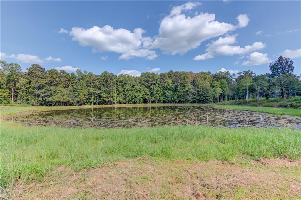 3698 Highway 83 Good Hope, GA 30641 - Photo 61 of 81