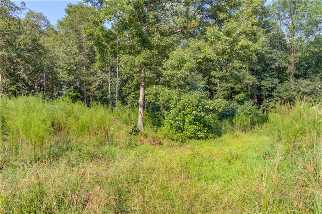 3698 Highway 83 Good Hope, GA 30641 - Photo 75 of 81