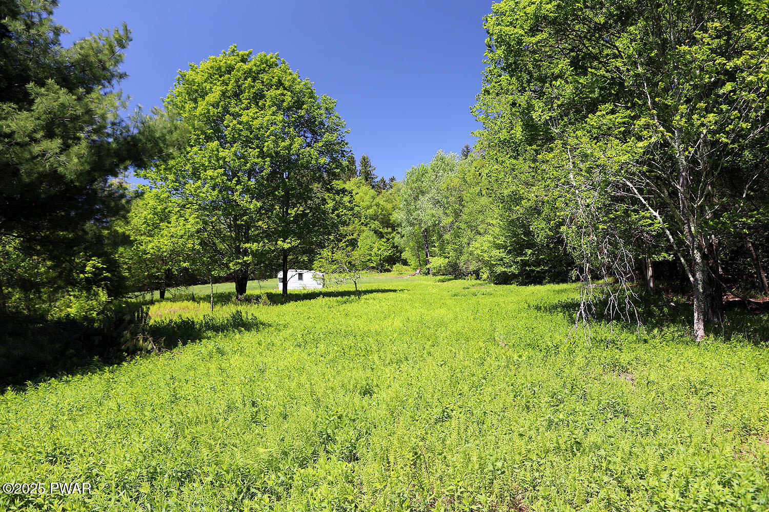 0 John Milk Road Hancock, NY 13783 - Photo 10 of 47