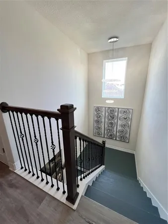 a view of backyard of house