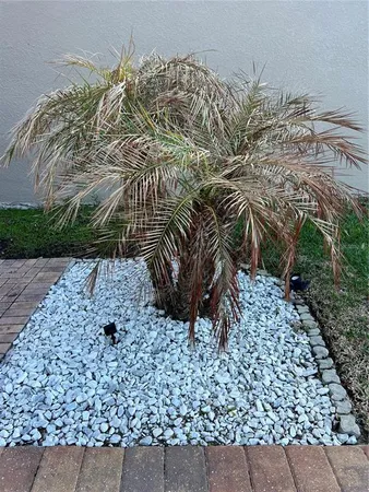 $5,500 | 2820 Chantilly Avenue, Kissimmee, FL 34741