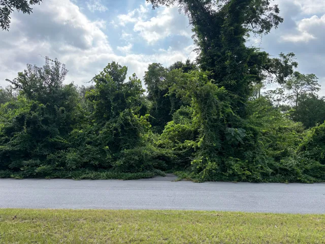 $30,000 | 414 Greenville Street Northwest, Aiken, SC 29801