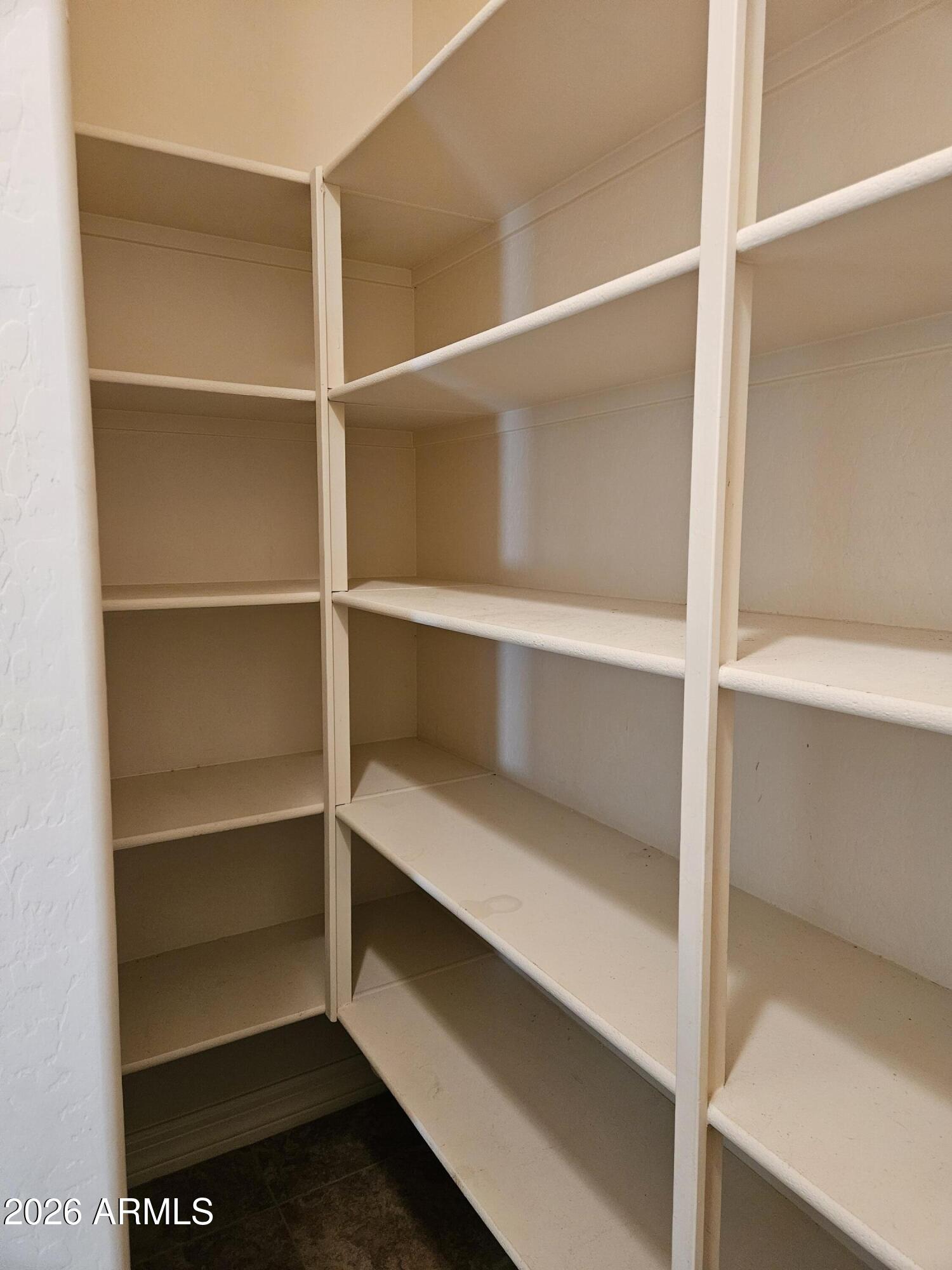 1623 East Hidalgo Street Apache Junction, AZ 85119 - Photo 18 of 65 a view of walk in closet with empty racks