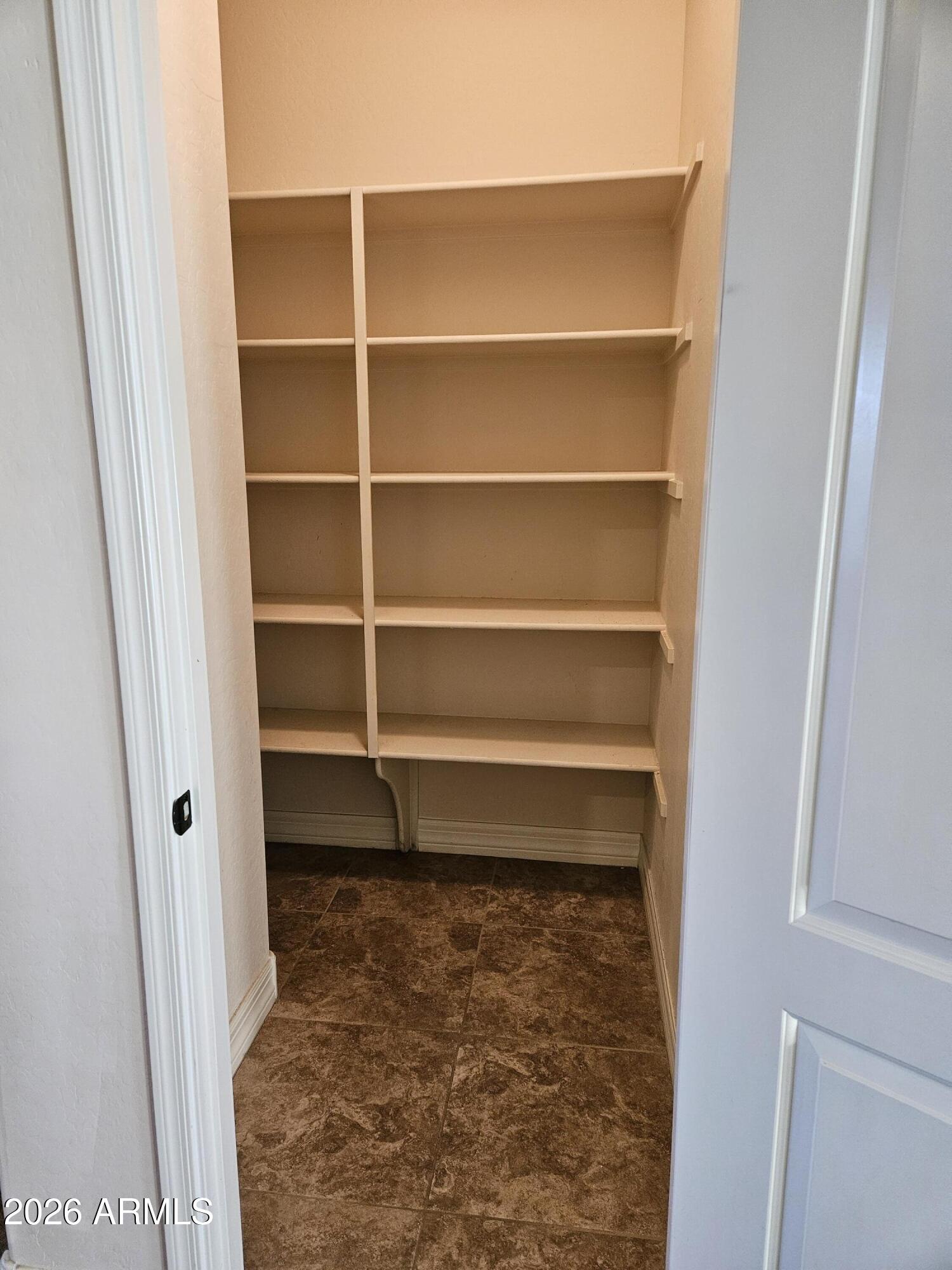1623 East Hidalgo Street Apache Junction, AZ 85119 - Photo 19 of 65 a view of walk in closet with empty racks