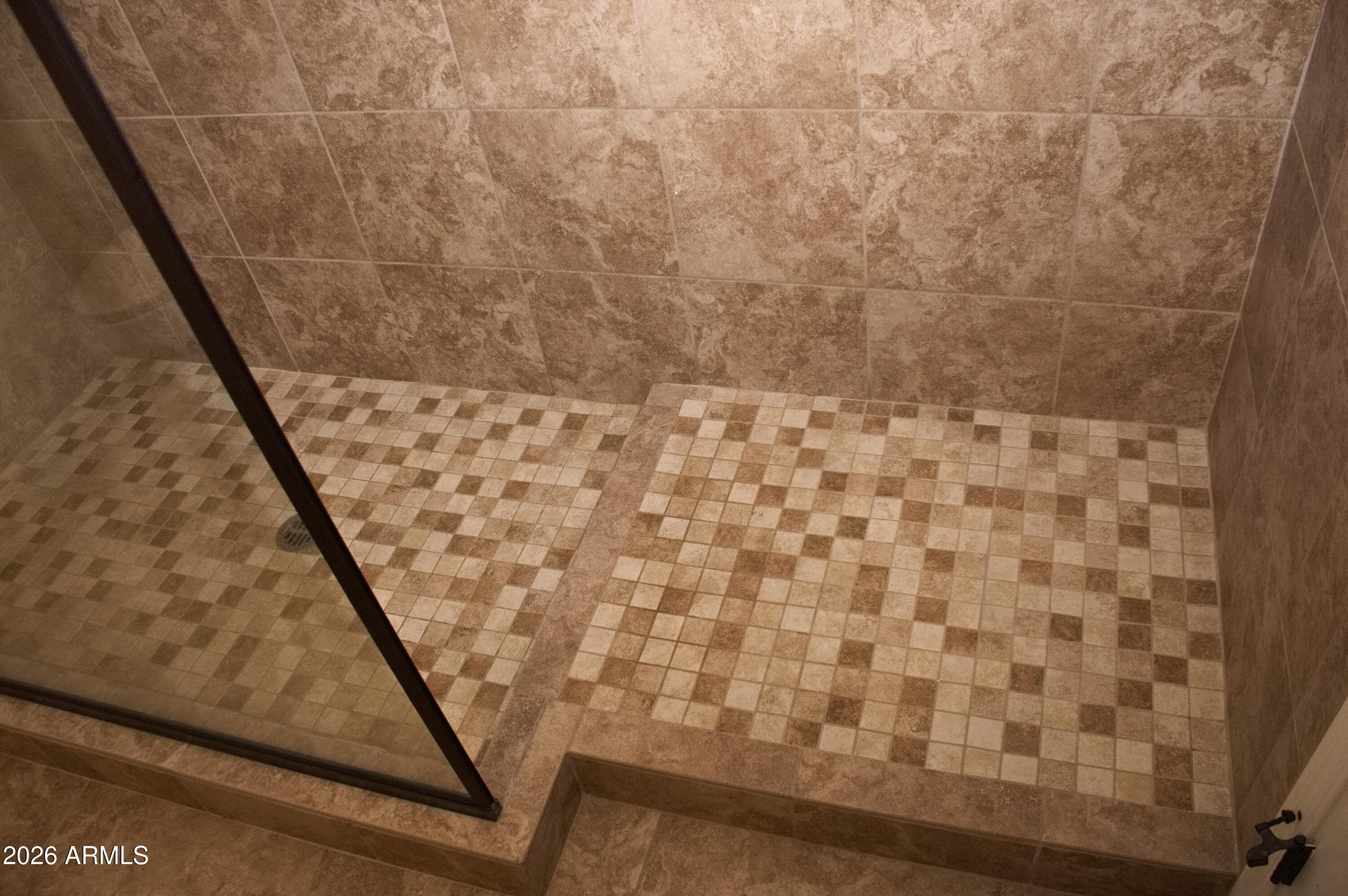 1623 East Hidalgo Street Apache Junction, AZ 85119 - Photo 26 of 65 a bathroom with a shower