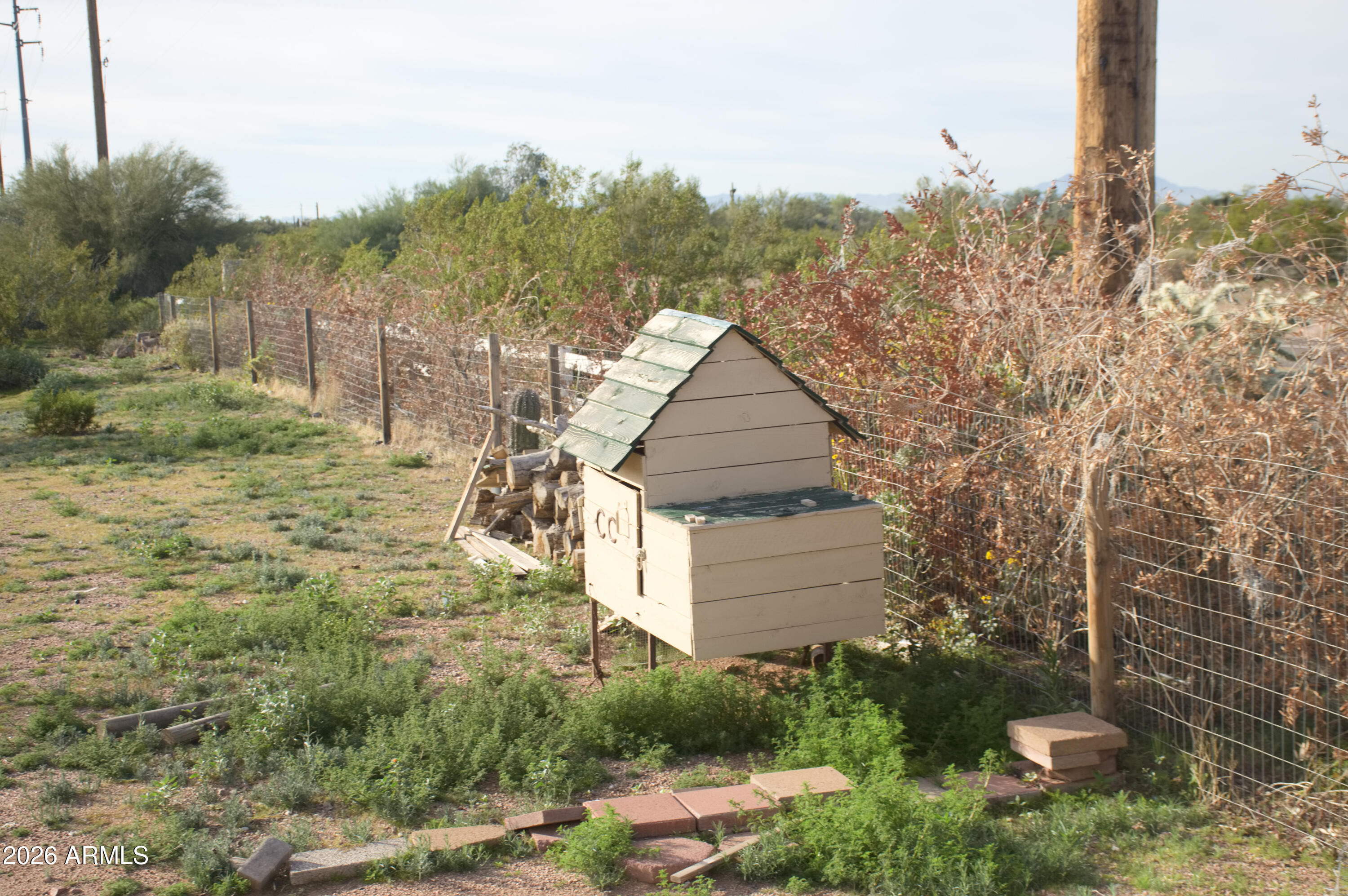 1623 East Hidalgo Street Apache Junction, AZ 85119 - Photo 48 of 65 a backyard of a house with lots of green space