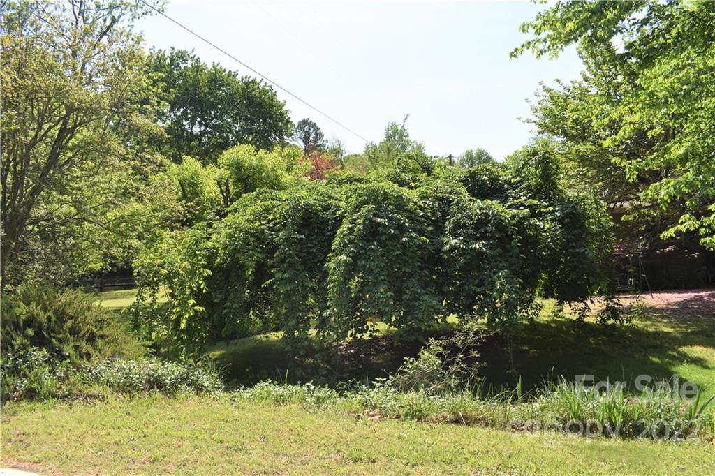 232 Lee Black Road Cherryville, NC 28021 - Photo 21 of 23 Gallery Image 21