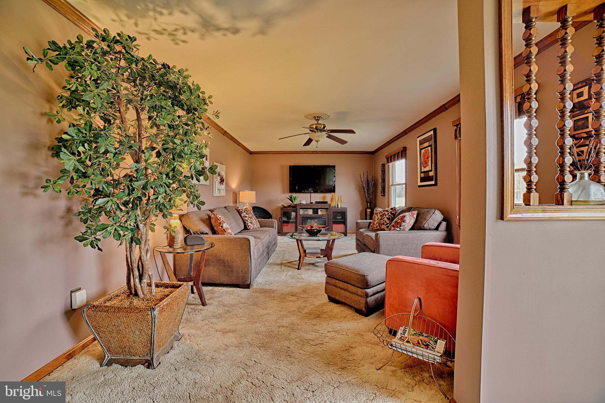 24565 Holsinger Lane Ridgely, MD 21660 - Photo 16 of 33 Gallery Image 16
