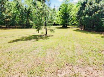 3316 Kennerly Road Orangeburg, SC 29118 - Photo 19 of 20 Photo 19