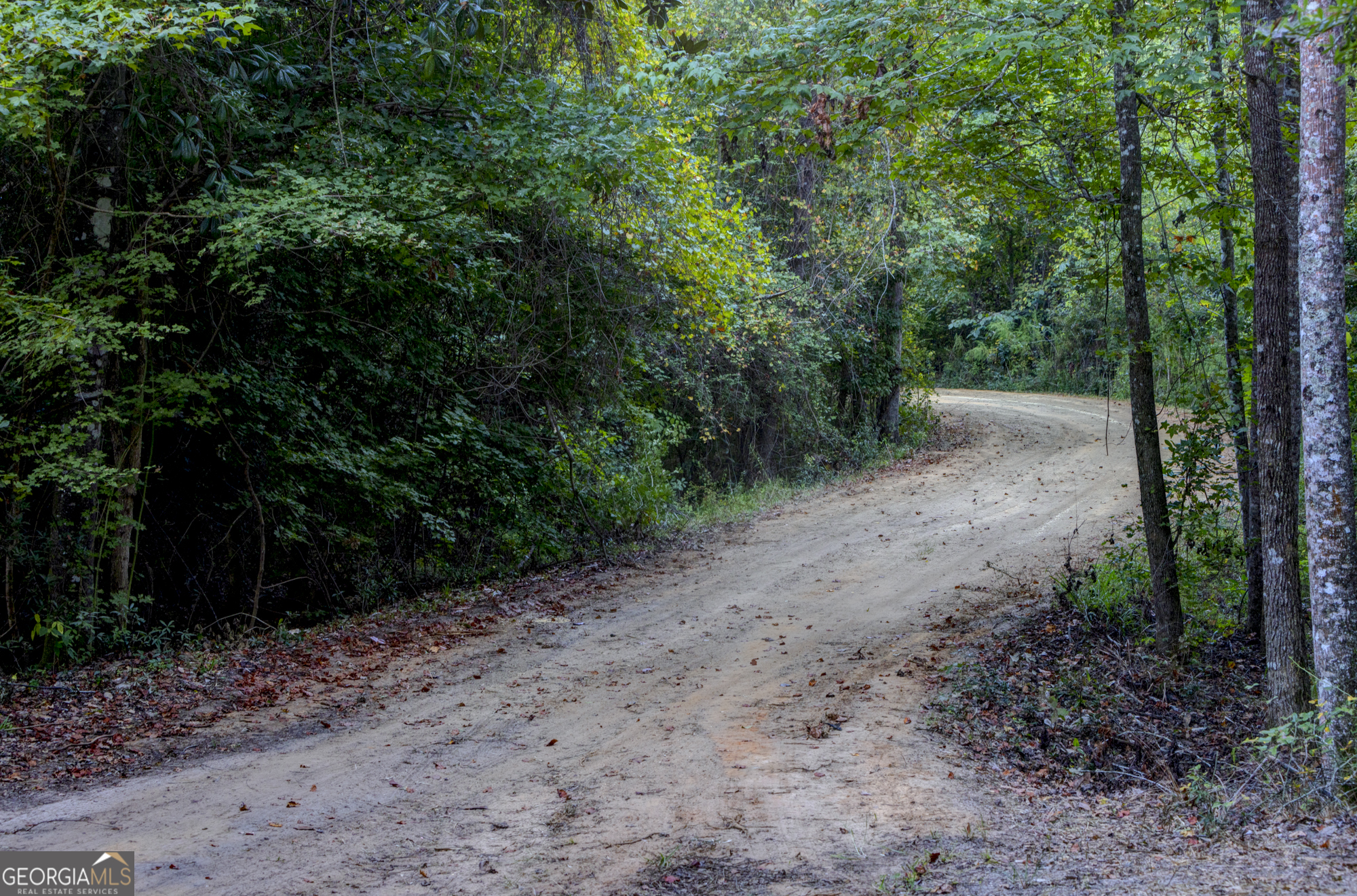 31 Highway 41 Morgan, GA 39866 - Photo 12 of 15